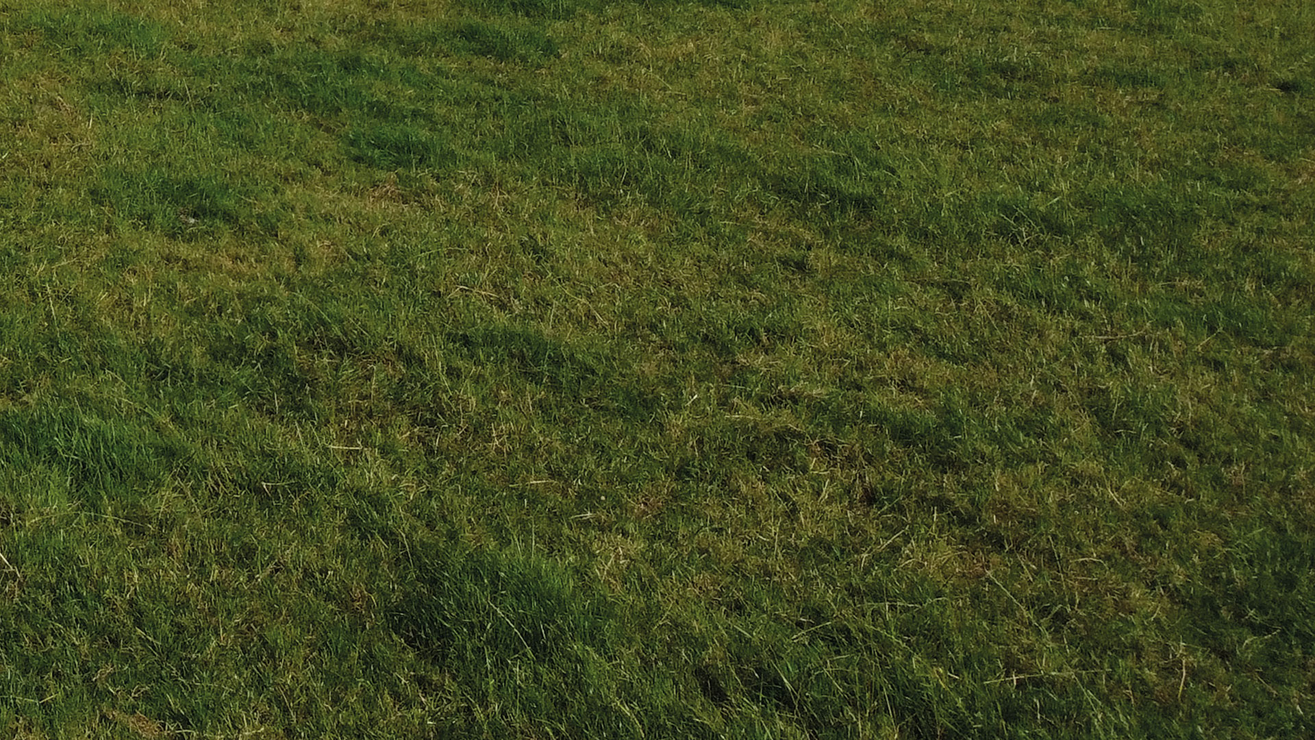 TBM Rear mounted mower