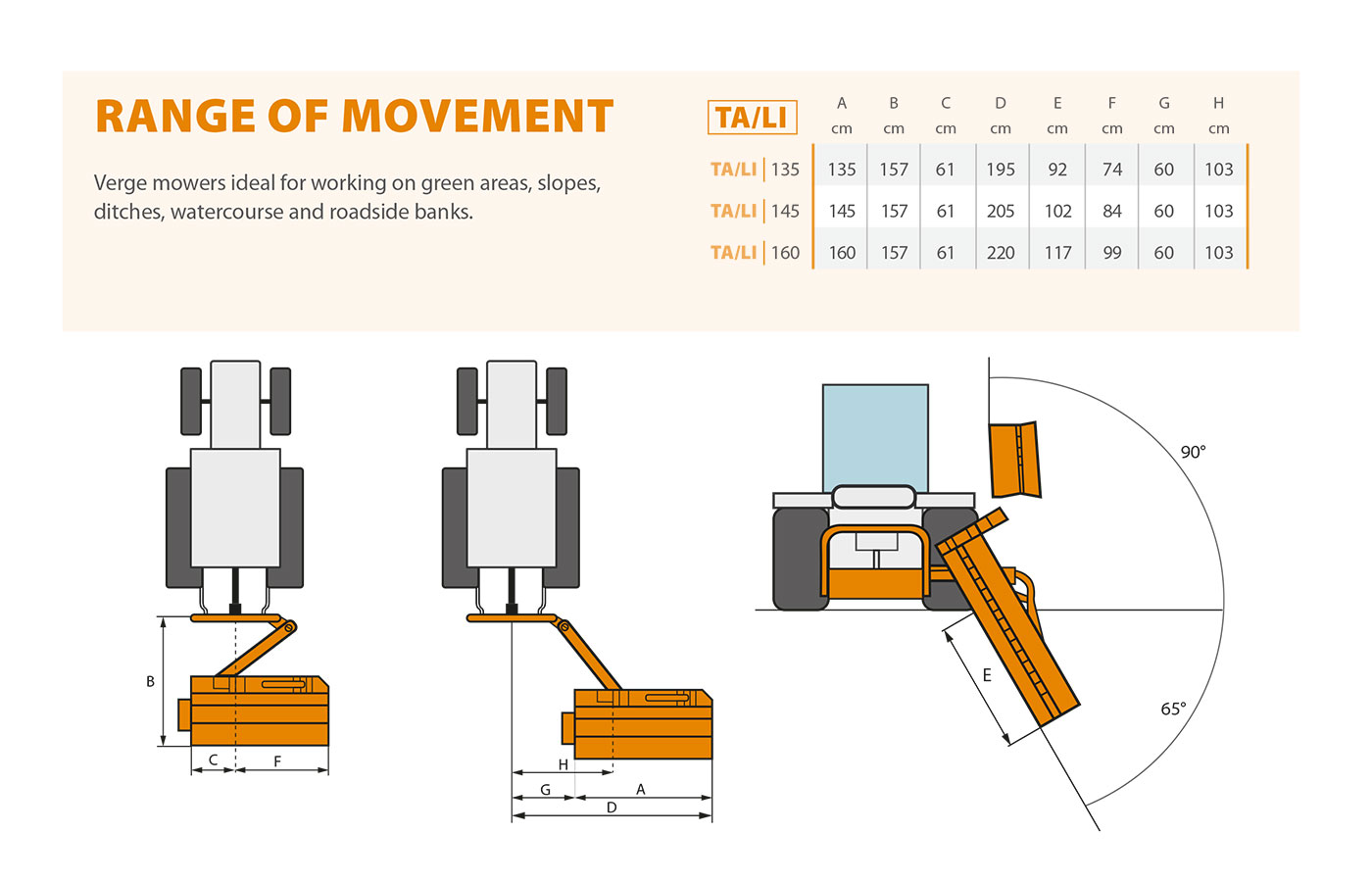 TA/LI Range of movement
