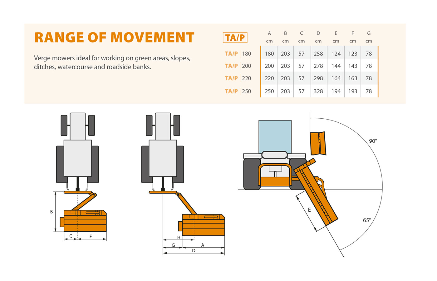 TA/P Range of movement