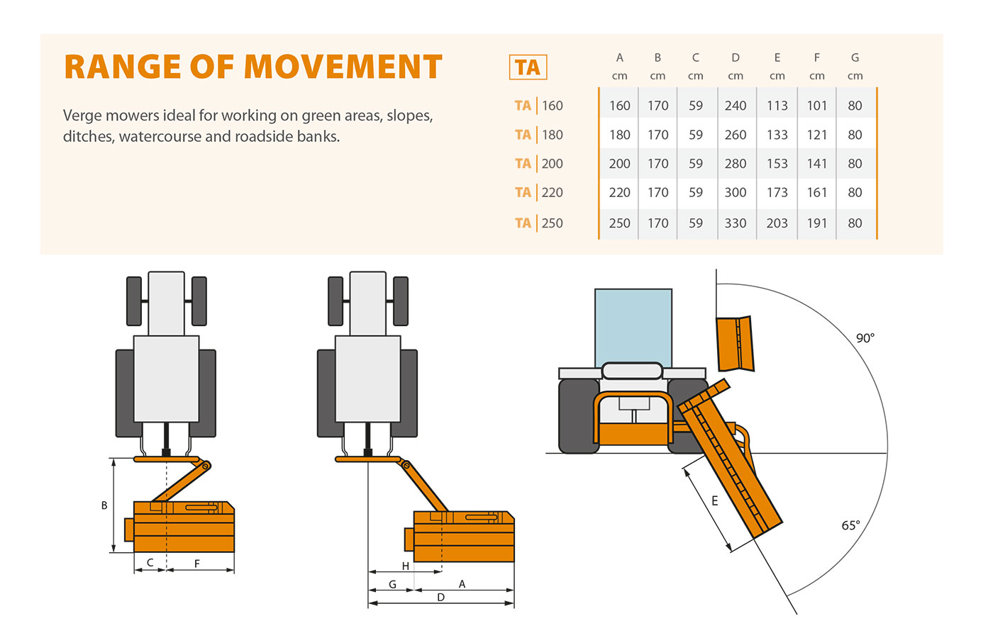 TA Range of movement