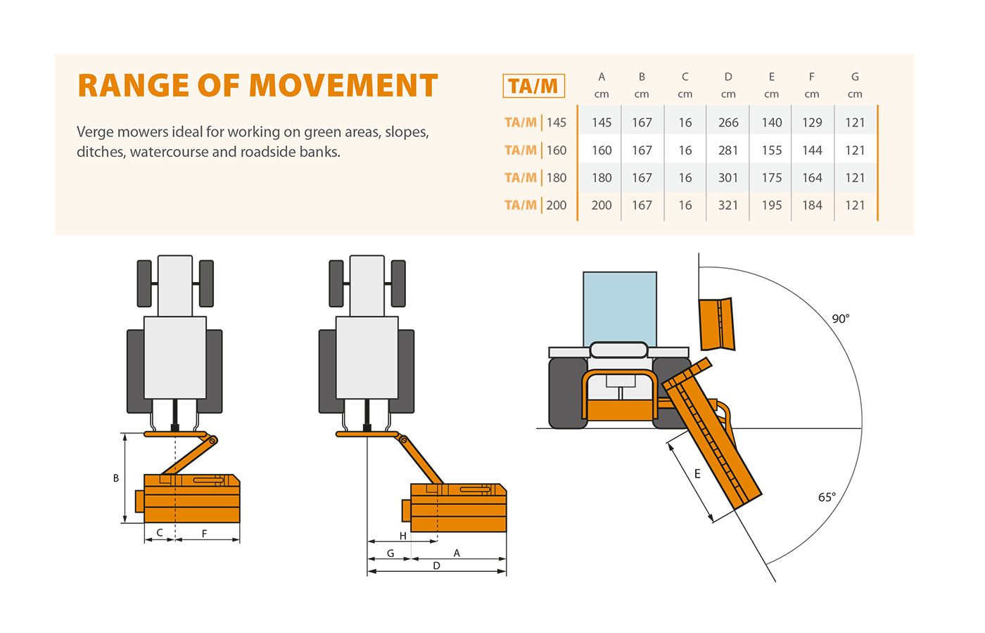 TA/m Range of movement
